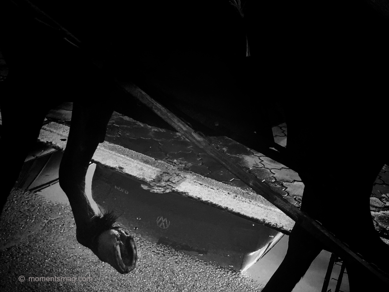Blog, Moments Photography Magazine