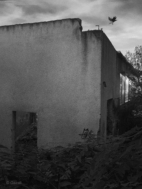 If Edgar Allan Poe was a photographer, Moments Mag