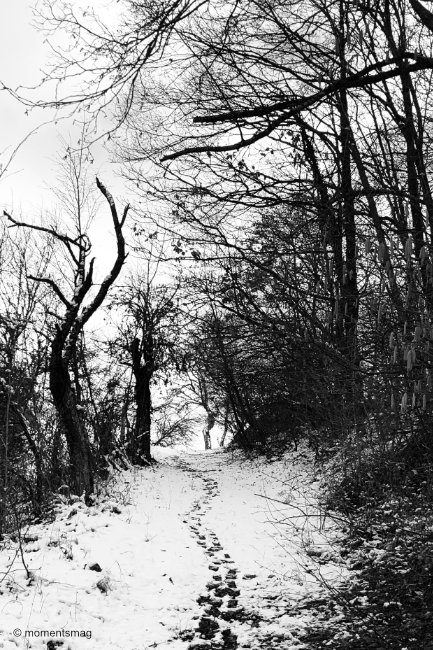 What if Michael Crichton was a photographer? - Moments Mag