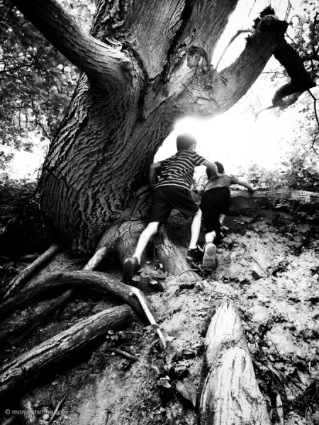 curiosity, photography. Moments magazine