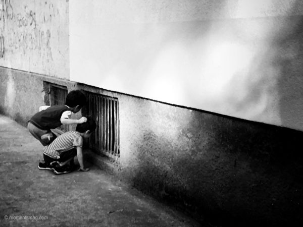 curiosity, photography. Moments magazine