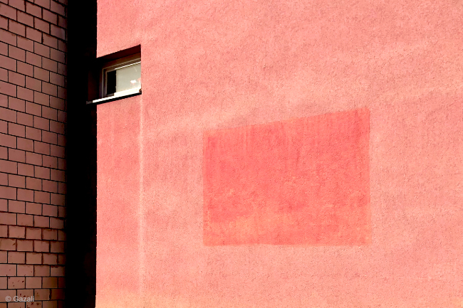 What if Donald Trump was a photographer? photography articles, Moments Mag