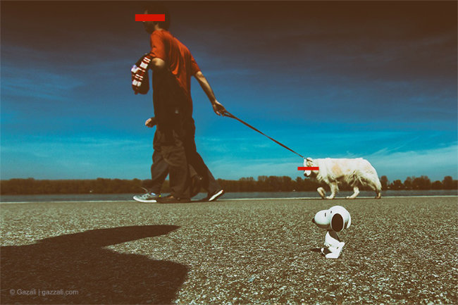 What if Woody Allen was a photographer? Moments Mag